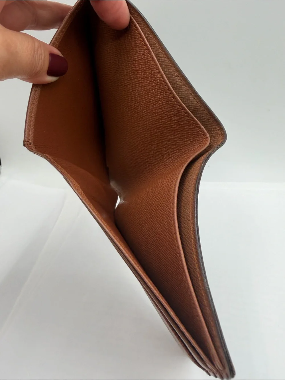 Louis Vuitton authentic louis